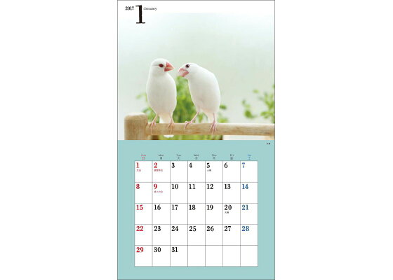 楽天ブックス 壁掛 17年ミニカレンダー かわいい小鳥のカレンダー 蜂巣 文香 本